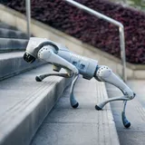 Бионический четырехопорный робот бренда Unitree модели Go2 версии AIR 