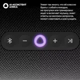 Портативная умная колонка Яндекс Станция Стрит с Алисой, 30 Вт, YNDX-00030BLK , чёрный