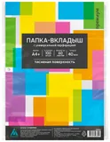 Папка-вкладыш Бюрократ Премиум 013BKPREM тисненые А4+ 40мкм (упак.:100шт)