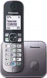 Р/Телефон Dect Panasonic KX-TG6811RUM серый металлик АОН