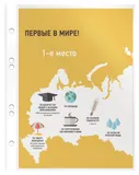 Папка-вкладыш Бюрократ Премиум -013A5 глянцевые А5 30мкм (упак.:100шт)