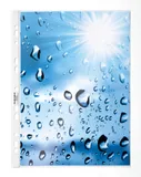 Папка-вкладыш Durable 2662-19 прозрачный глянцевые А4 вертикальный 48мкм (упак.:10шт)