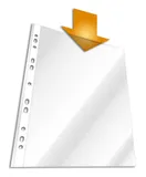 Папка-вкладыш Durable 2672-19 прозрачный глянцевые А4 вертикальный 48мкм (упак.:100шт)