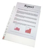 Папка-вкладыш Esselte 56066 прозрачный глянцевые А4 55мкм (упак.:100шт)