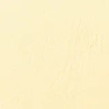 Обложки для переплёта GBC A4 250г/м2 слоновая кость (100шт) LeatherGrain (CE040065)