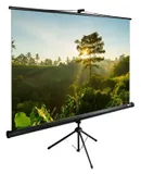 Экран Cactus 200x200см TriExpert CS-PSTE-200x200-BK 1:1 напольный рулонный черный