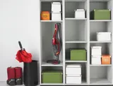 Пылесос ручной Gorenje SVC216FR 125Вт красный