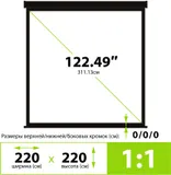 Экран Cactus 220x220см TriExpert CS-PSTE-220x220-BK 1:1 напольный рулонный черный