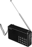 Радиоприемник портативный Сигнал РП-221 черный USB microSD