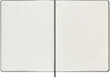 Блокнот Moleskine PROFESSIONAL PROPFNTB4HBK XLarge 190х250мм 192стр. твердая обложка черный