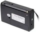 Радиоприемник портативный Hyundai H-PSR130 черный