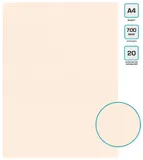 Папка с 20 прозр.вклад. Бюрократ DeLuxe DLV20MILK A4 пластик 0.7мм молочный