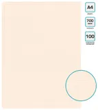 Папка с 100 прозр.вклад. Бюрократ DeLuxe DLVBOX100MILK A4 пластик 0.7мм молочный в коробе