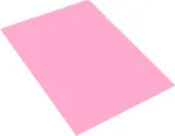Папка-уголок Бюрократ Pastel -EPAST/PINK A4 пластик 0.18мм розовый