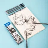 Карандаш ч/г Deli EC005-2B Scribe 2B шестигран. тополь т.сер. корпус карт.кор. (12шт)