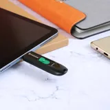 Флеш Диск Transcend 64Gb Jetflash Type-C 790С TS64GJF790C USB3.0 черный