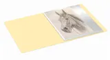 Папка с 10 прозр.вклад. Бюрократ Pastel PAST10YEL A4 пластик 0.5мм торц.карм с бум. встав желтый