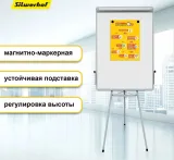 Флипчарт Silwerhof лак 70x100см на треноге белый