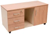 Тумба Практик NPW-410 под оргтехнику 1134x500x600мм (S36099421237) вяз натуральный
