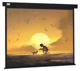 Экран Cactus 150x150см Wallscreen CS-PSW-150X150-BK 1:1 настенно-потолочный рулонный черный