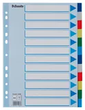 Разделитель индексный Esselte 15262 A4 полипропилен 12 индексов цветной (упак.:10шт)
