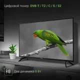 Телевизор LED Digma 43" DM-LED43MBB21 черный FULL HD 60Hz DVB-T DVB-T2 DVB-C DVB-S DVB-S2 USB