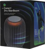 Умная колонка Sber Boom SBDV-00090 Салют серый 40W 1.0 BT/Wi-Fi (SBDV-00090S)