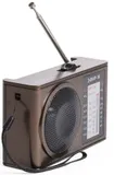 Радиоприемник портативный Сигнал Эфир-18 коричневый USB SD/microSD