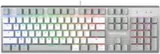 Клавиатура A4Tech Fstyler FS100 Neon механическая черный USB for gamer LED (FS100)