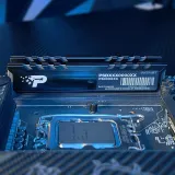 Память DDR5 16GB 5600MHz Patriot PSP516G560081H1 Signature Premium RTL PC5-44800 CL46 DIMM 288-pin 1.1В single rank Ret