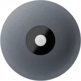 Модуль Sber SDMIC-001