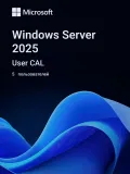 Комплект программного обеспечения Windows Server CAL 2025 English 1pk DSP OEI 5 Clt User CAL