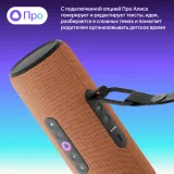 Умная колонка Yandex Стрит Алиса оранжевый 30W 2.0 BT/Wi-Fi 10м 3300mAh (YNDX-00030ORG)