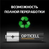 Батарея Opticell Professional LR6 AA (12шт) блистер