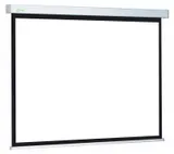 Экран Cactus 124.5x221см Motoscreen CS-PSM-124x221 16:9 настенно-потолочный рулонный (моторизованный привод)