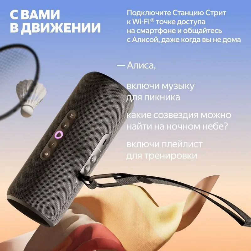 Портативная умная колонка Яндекс Станция Стрит с Алисой, 30 Вт, YNDX-00030BLK , чёрный