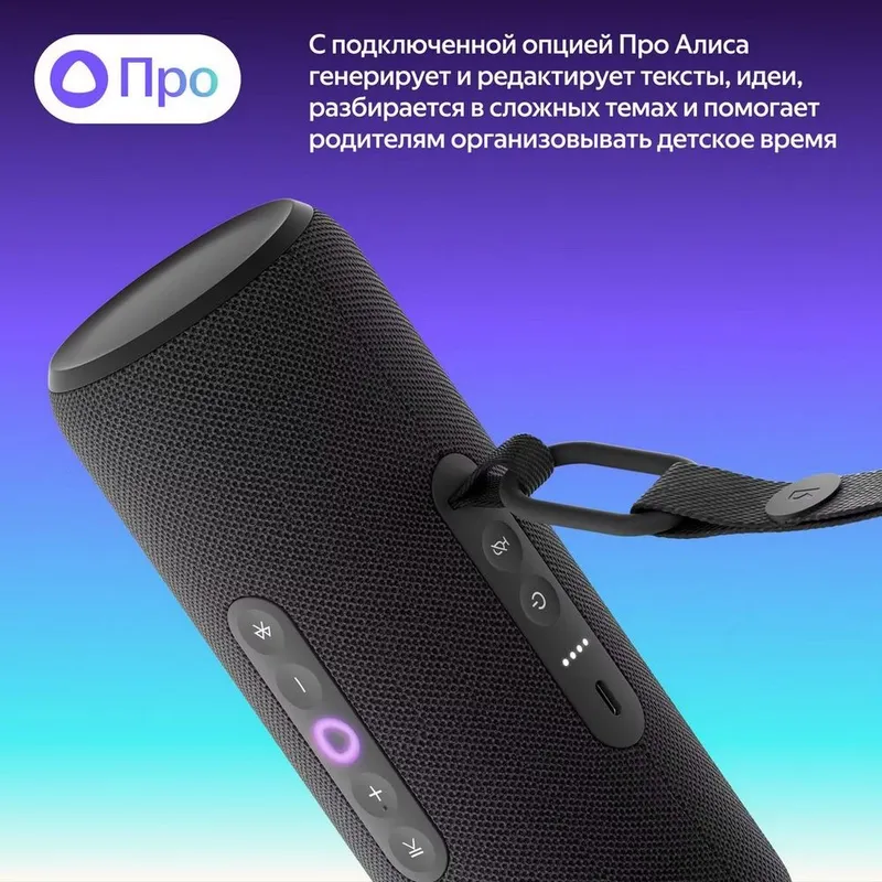 Портативная умная колонка Яндекс Станция Стрит с Алисой, 30 Вт, YNDX-00030BLK , чёрный