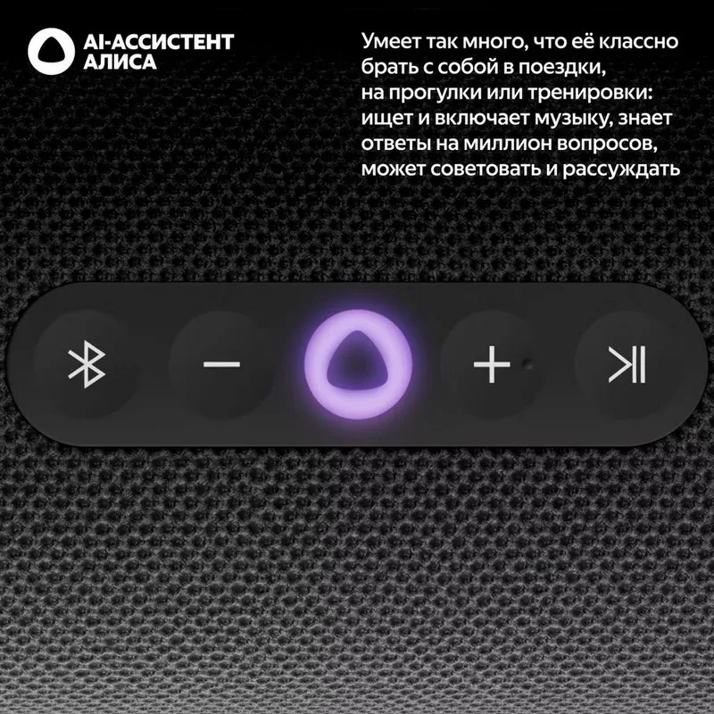 Портативная умная колонка Яндекс Станция Стрит с Алисой, 30 Вт, YNDX-00030BLK , чёрный