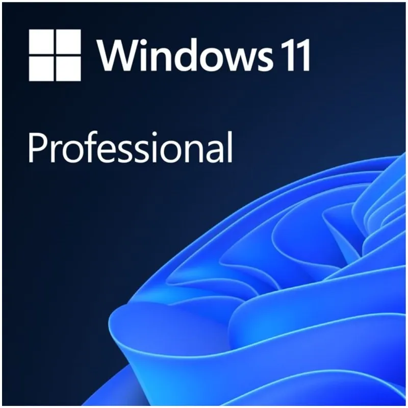 MS Win Pro 11 64-bit All Lng PK Lic Online DwnLd NR.
