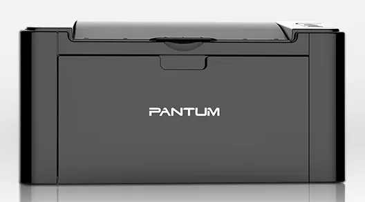 Принтер лазерный Pantum P2506W A4 WiFi серый