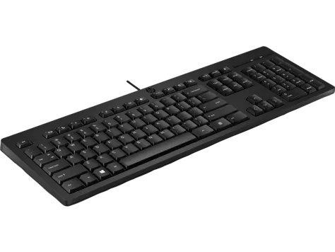 Клавиатура Keyboard HP 125 Wired (black)