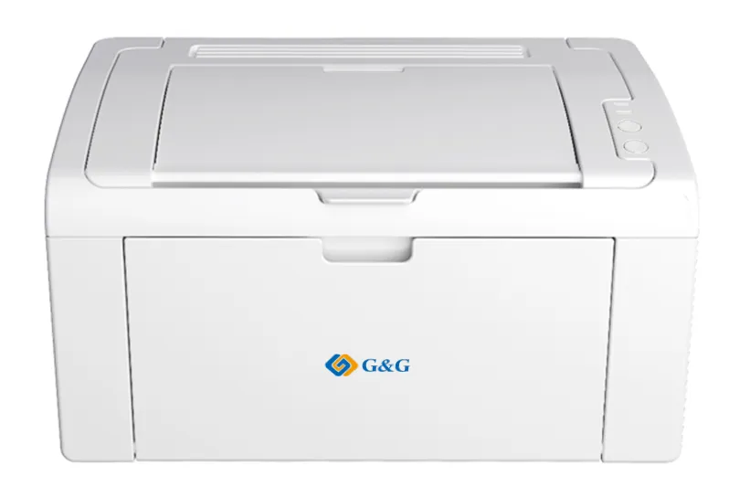 Принтер G&G P2022W (P2022W)