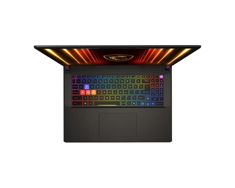 MSI Vector 17 HX A2XWJG-062RU Ultra9 275HX 17" 16:10 QHD+(2560 x 1600)240Hz DDR5 32GB (16GB*2),1TB SSD, NV RTX 5090 (24GB GDDR7),90Whr,3kg,1y,Win11Home,Gray