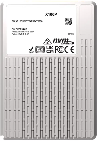твердотельный накопитель PHISON SSD X100P 3840GB NVMe U.3 (15mm) PCIe NVMe Gen4 1x4 R7400/W6900MB/s 3D TLC 1750K/190K IOPS 1DWPD single port  SSD Enterprise Solid State Drive, 1 year, OEM