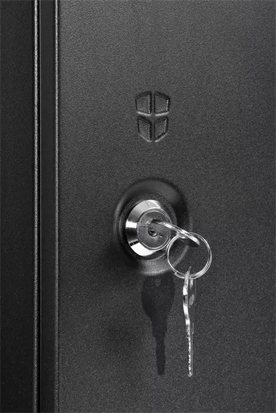 Шкаф ЦМО Шкаф телекоммуникационный настенный разборный ЭКОНОМ 15U (600  650) дверь металл, цвет черный