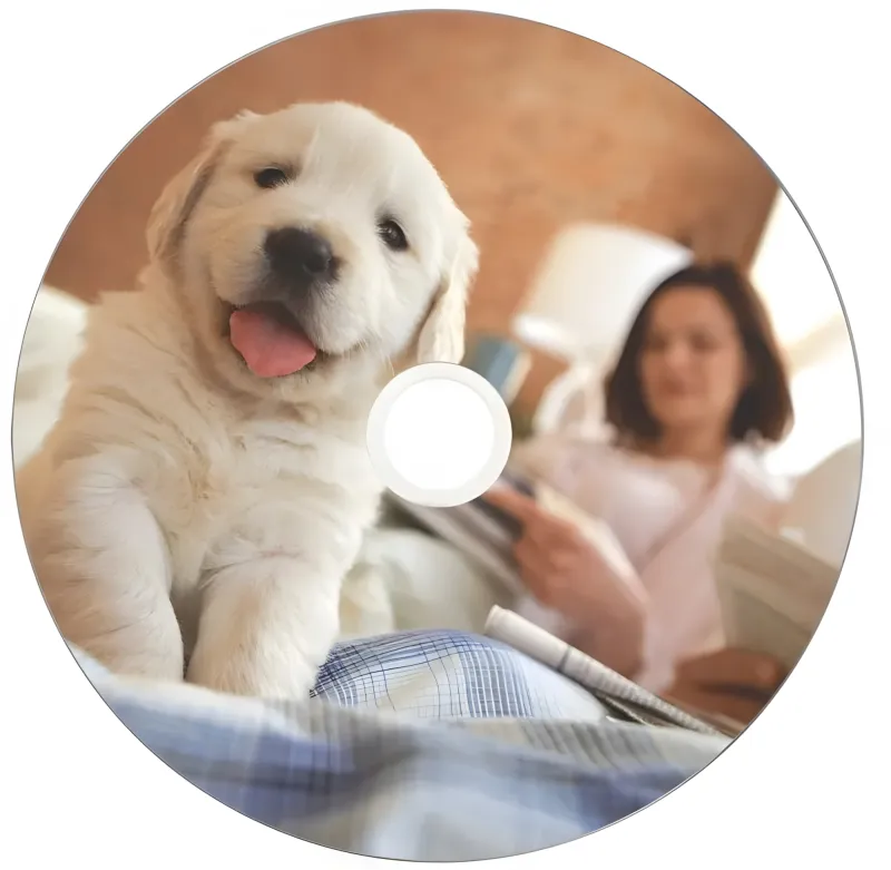 Диск CD-R Verbatim 700Mb 52x Cake Box (50шт) Printable (43756)