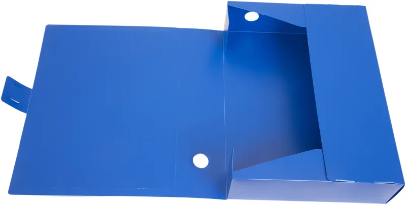 Короб архивный вырубная застежка Бюрократ -BA100/08BLUE пластик 0.8мм корешок 100мм 330х245мм синий