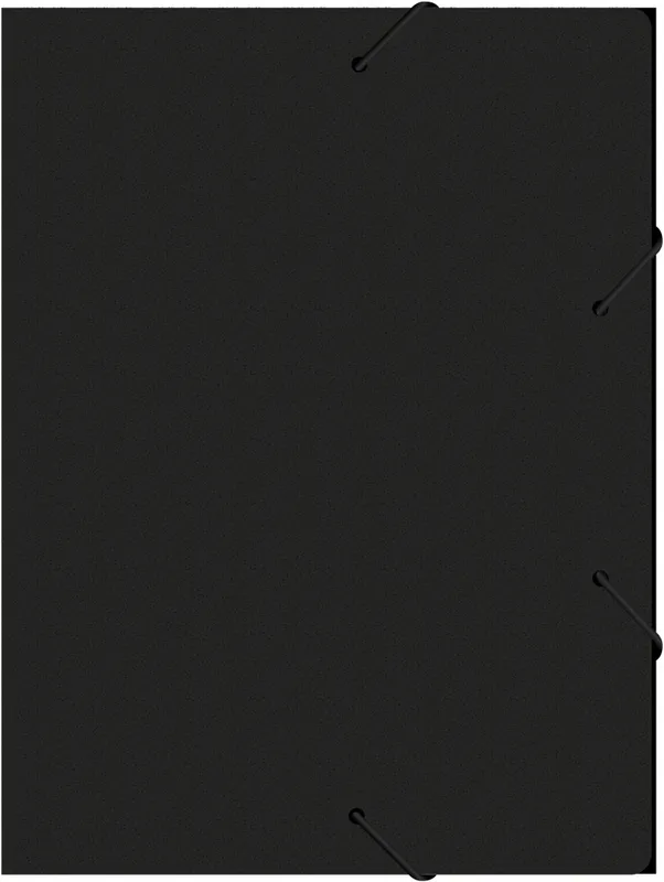 Папка-короб на резинке Бюрократ -BA25/05BLCK пластик 0.5мм корешок 25мм A4 черный
