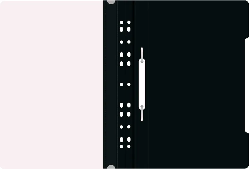 Папка-скоросшиватель Бюрократ -PS-P20/1 A4 прозрач.верх.лист боков.перф. пластик ассорти 0.12/0.16