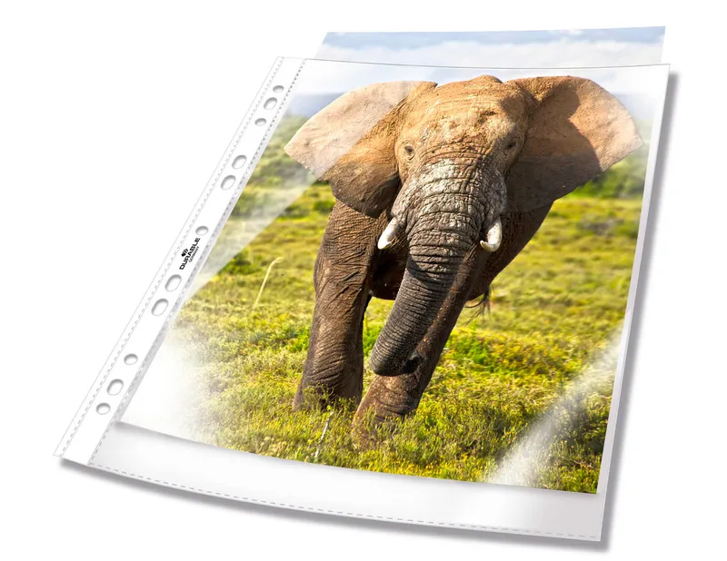 Папка-вкладыш Durable 2672-19 прозрачный глянцевые А4 вертикальный 48мкм (упак.:100шт)